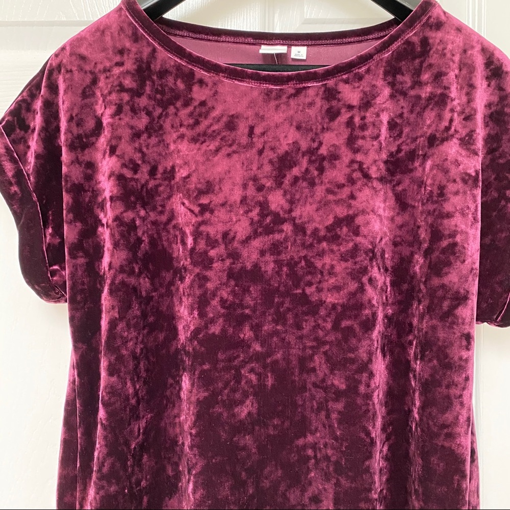 GAP Velour Short Sleeve Top
